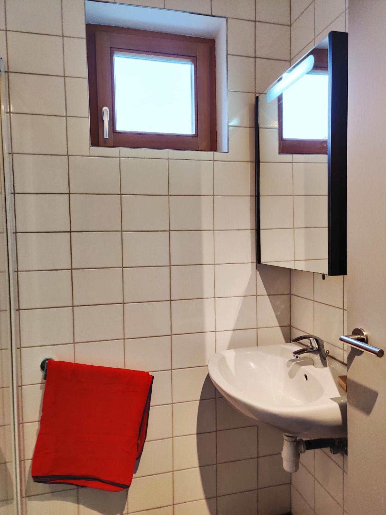 Petit Nid En Alsace Studio Independant Avec Salle De Douche Privative Buschwiller Dış mekan fotoğraf